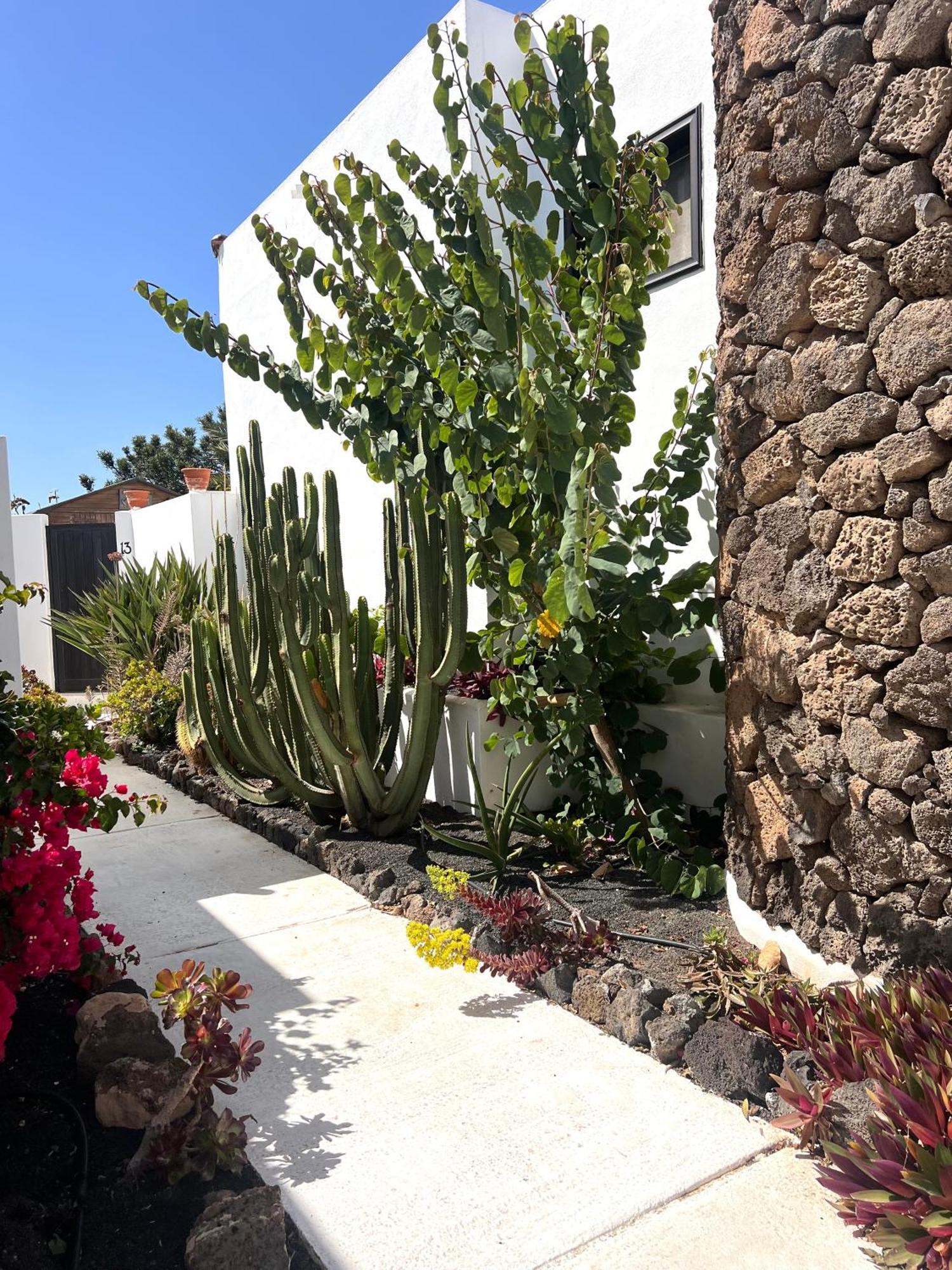 Oasis En Lanzarote Villa Costa Teguise Exterior photo